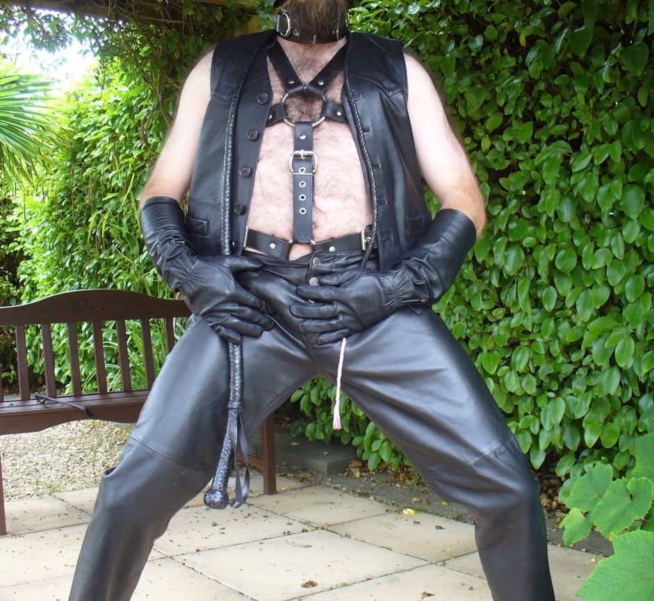 Leather Master outdoors in harness with whip #10