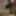 Ücretsiz Riz_girl Fotoğrafları 3