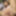Shino Aoi :: The Prey waitress - CARIBBEANCOM