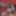 Dick Flash and Public Masturbation CFNM Videos