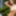 Sexy Druid Women in the Forest - HD - Teaser #5