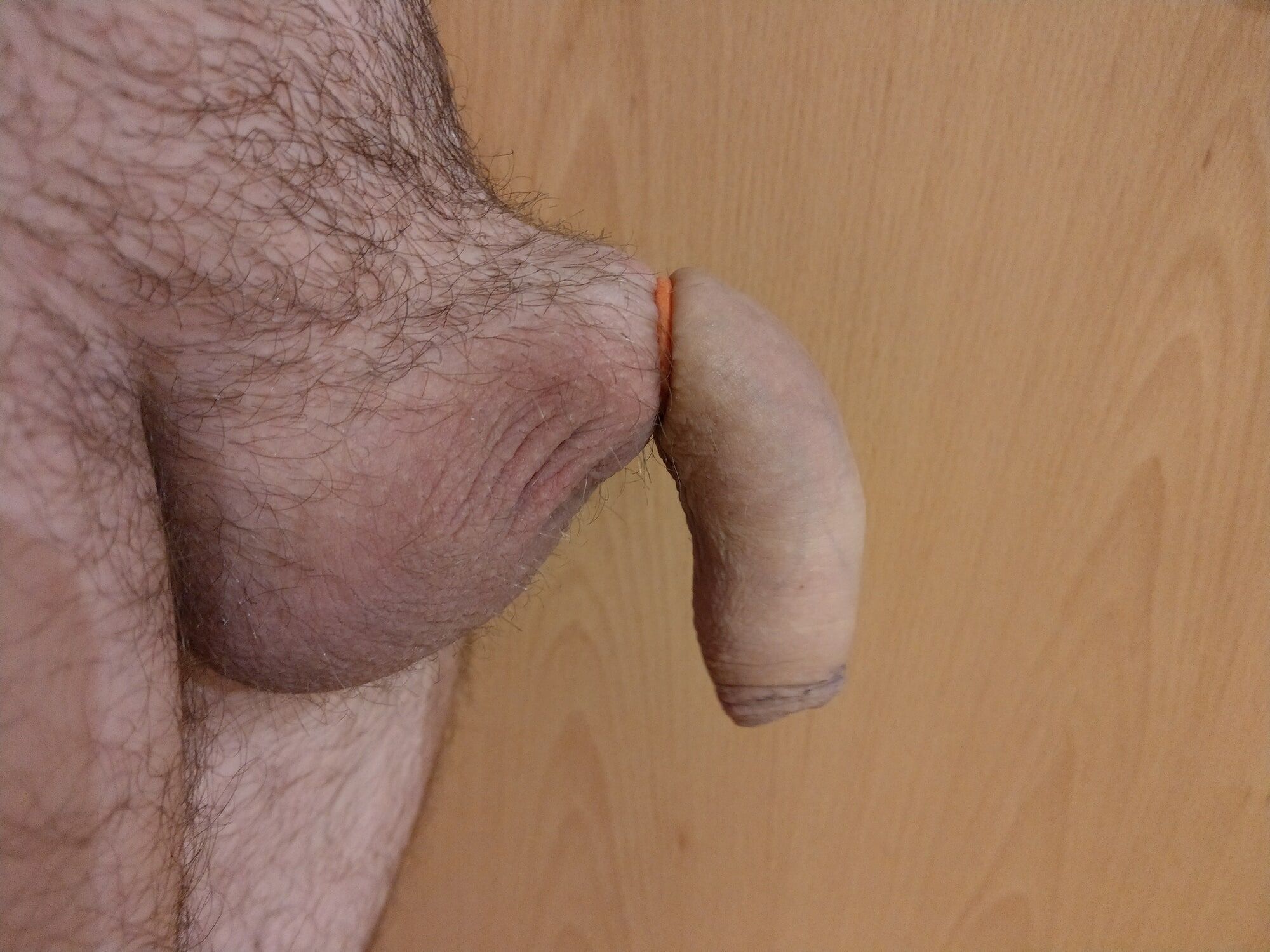 Flaccid cock banded #12