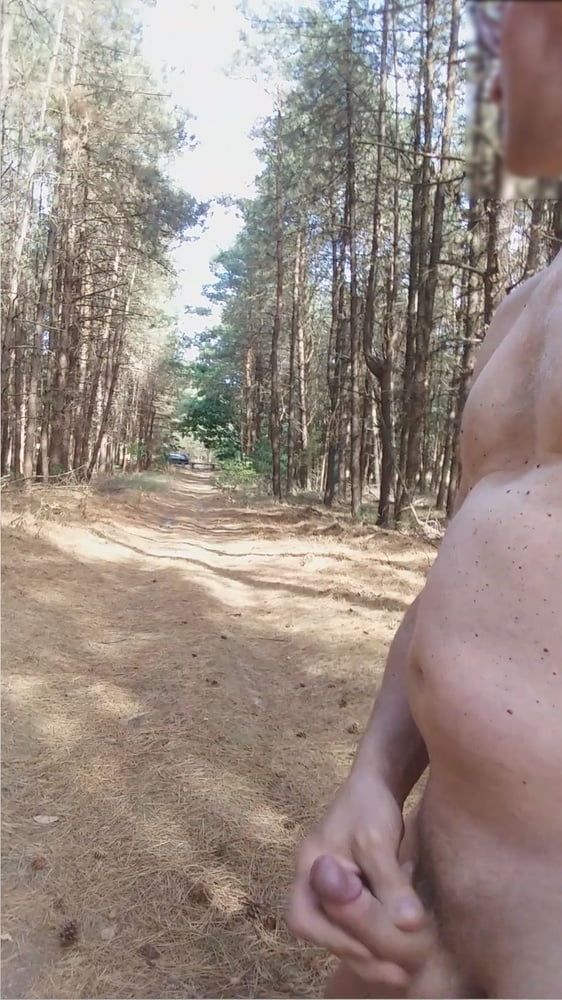 exhibitionist naked jerking cumshot in the woods #2
