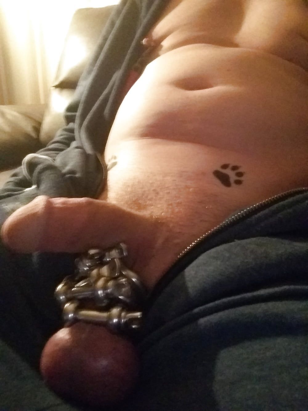 Paws Cock and Shackles #9