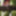Sarada forest exhibition crossdress cosplay 