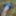 Cover up, reveal #9