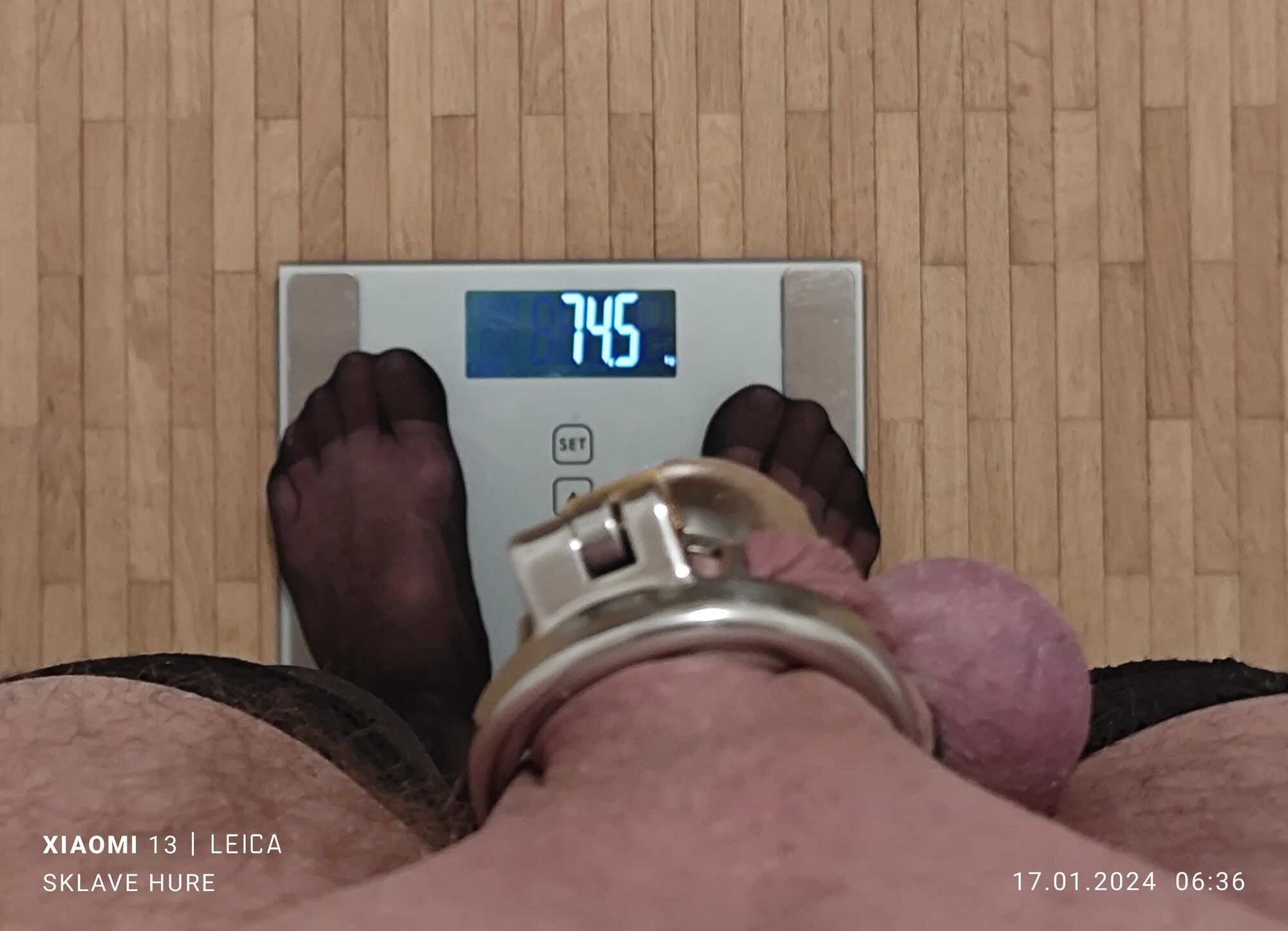 Mandatory weighing cagecheck January 17, 2024 #12