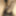Indian Desi lund big Black cock 
