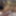 Clean cut closeups  #22