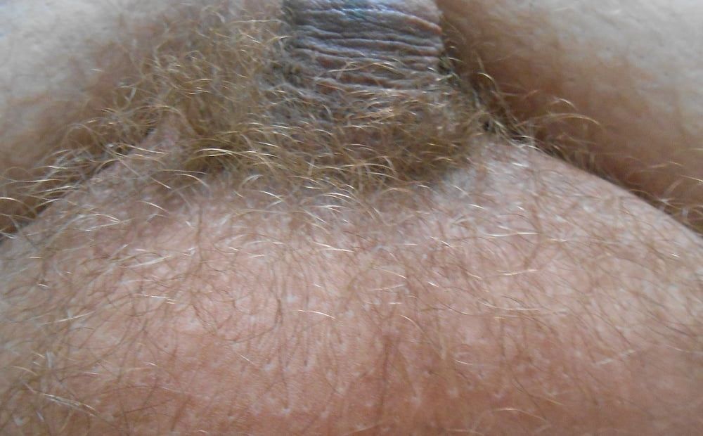 my tiny hairy dick before shaving #8