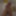 Squirter82 Free Photos #19