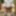 Amateur crossdresser Kellycd2022 sexy milf white stockings 