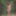 Cute brunette Maxa posing nude in the forest #15