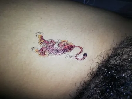 tiger tattoo on pussy         