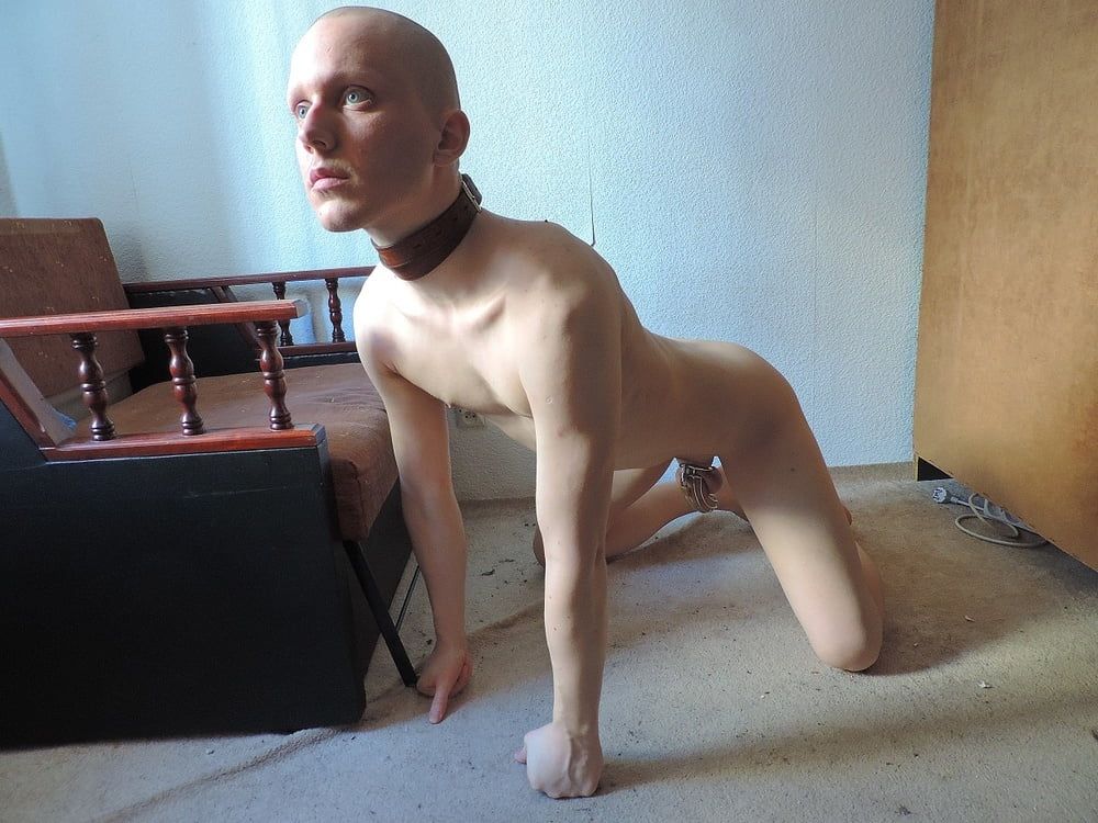 shaved subboy faggot #8