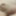 Tiny micro cock 
