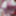Hello Kitty Bed #8