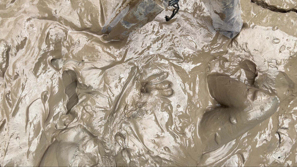 SHOT - MUD TONGUE  #19