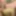 84 yo man barebacks and creampies me #4