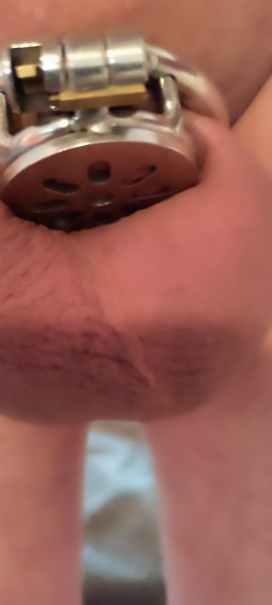 Mein eingesperrter Minipimmel #9