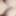 Trans Tits Two 