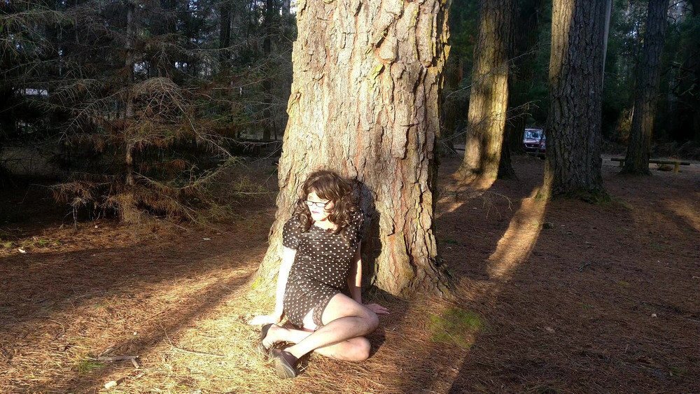 Crossdress Roadtrip - Pine Forest #9