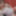 A collection of delightful images in 2022 x #2