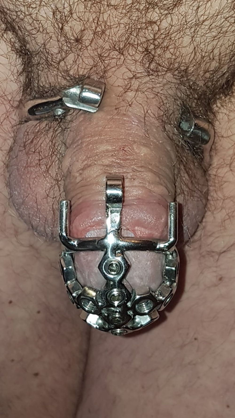 My best chastity cage #20