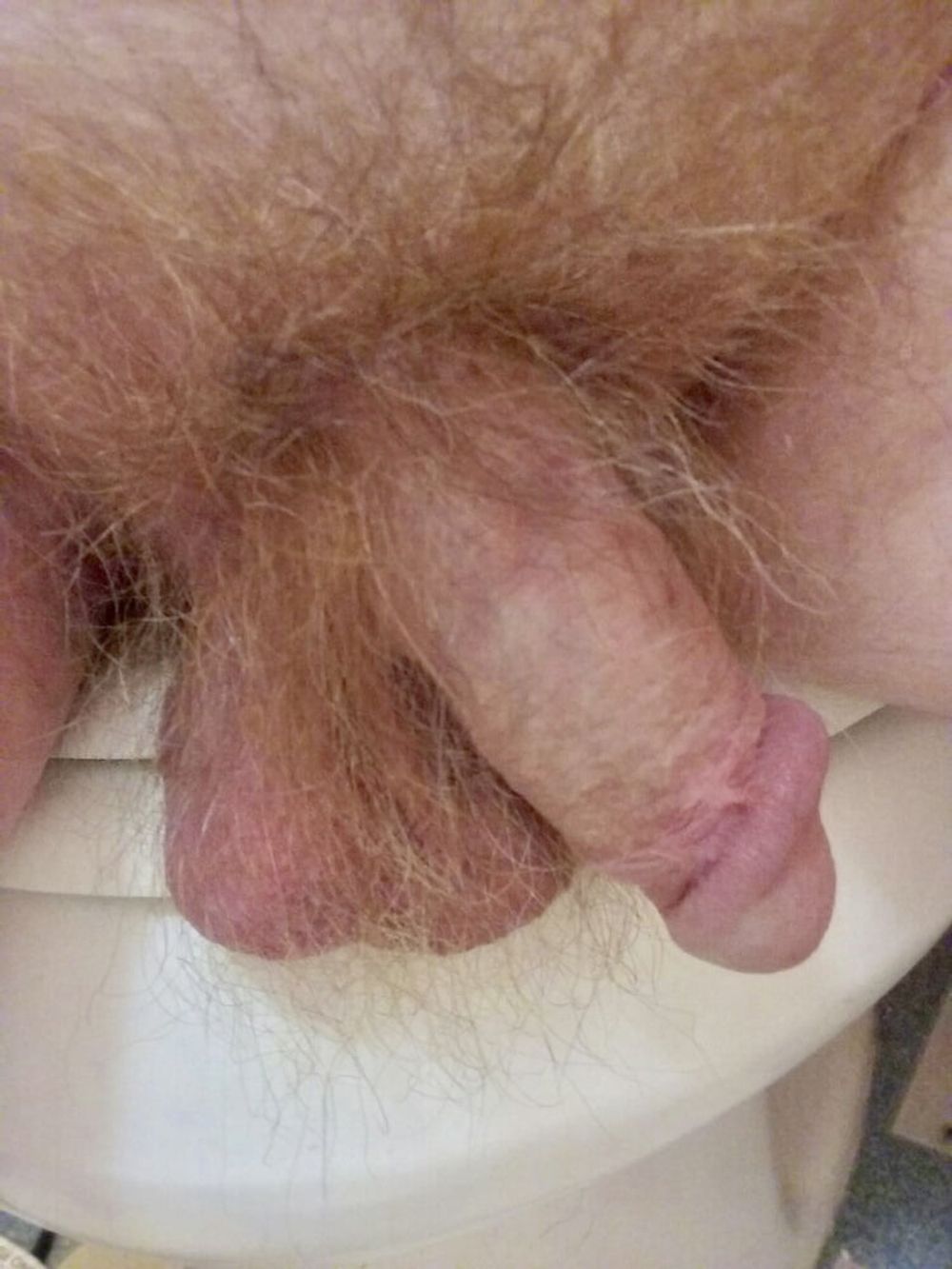 Dick closeups  #20