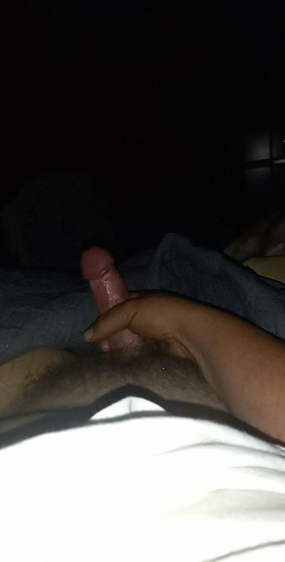 Hard white cock 