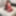 10-22-2021 WEEKLY Video Update to DoggVision VIP Mbrs Area #39