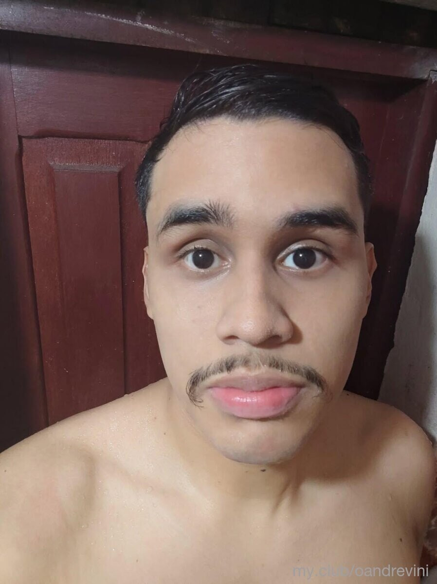 安德列·維尼修斯 免費照片