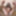 FEMOUT.XXX: Big Cocked Beauty Bella #7