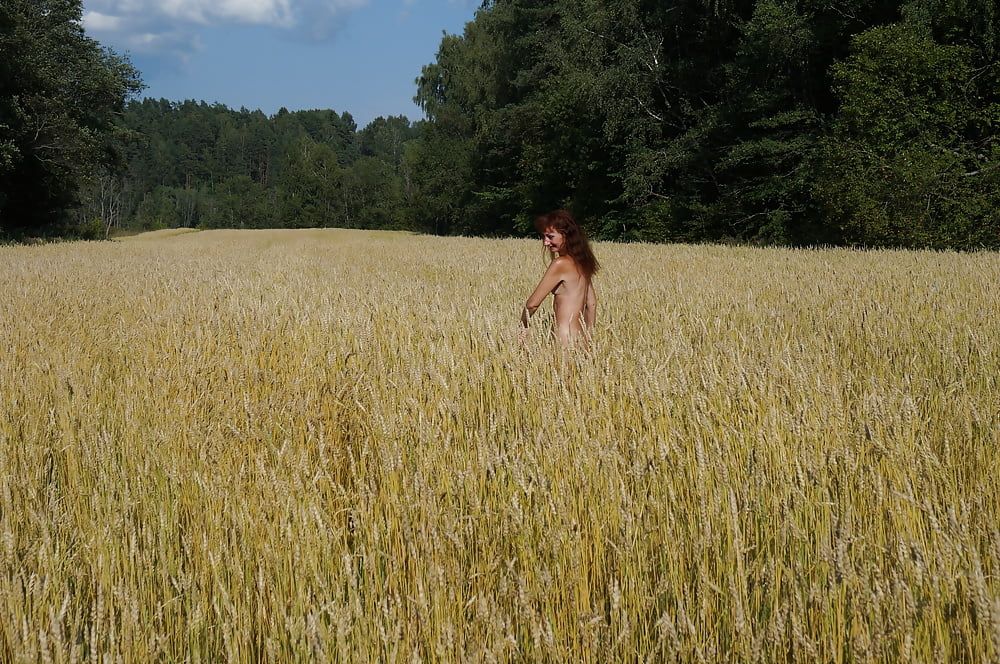 in golden field #13