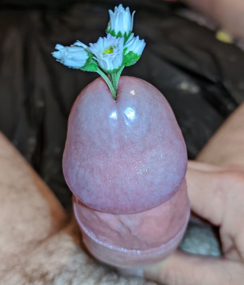 A living vase.For cute pussies