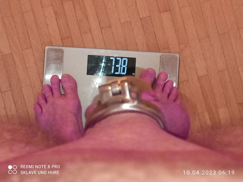 Masturbation, mandatory weighing and cagecheck of 10.04.2023 #6