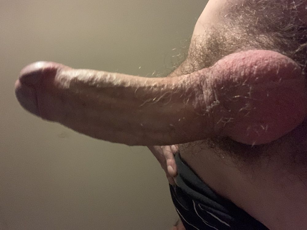 My cock (December 2024) #6