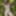 Forest Moss Muse 2