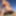 Public nude beach erection exposure