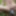 Slutboy in the woods with a toy #5