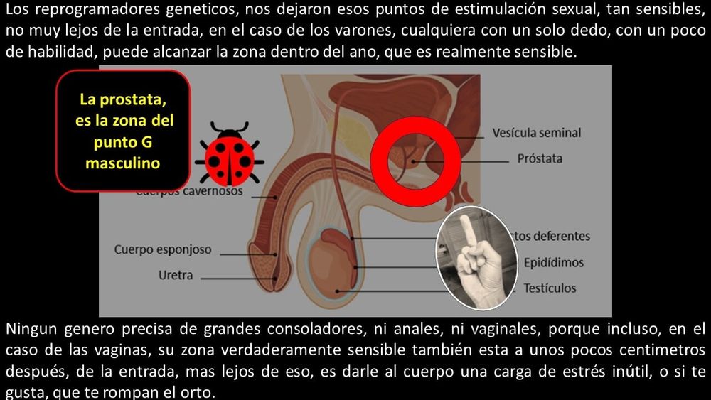 Before Eden we all were Hermaphrodites #36