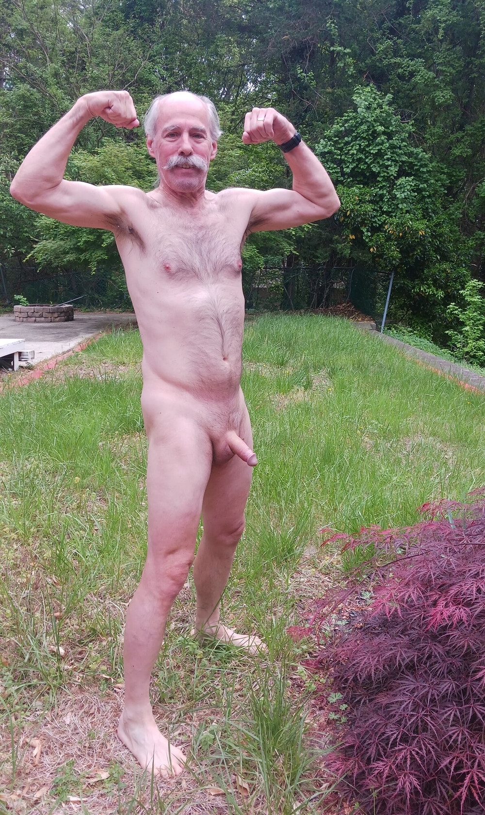 Spring in Tony's backyard #6