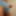 Small penis bulge cum in cute duck speedo, brief, trunks. #28