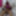 Lizzy Yum orgasm database 2023 #20