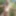 NAKED GRANDPA CRUISING PUBLIC OUTDOOR WOOD HAVING GREAT CUMS