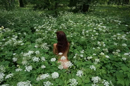 in white flowers           