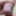 Precum Play #2