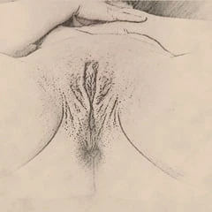 My pussy...