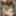 Pixwhores Experimental Enhanced: Stockings in the Railyard 1