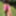 My Photos #29